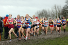 Senior girls 2019 New Balance English Schools Cross Country Champs, Temple Newsam, Leeds. Photo:  David T. Hewitson/Sports for All Pics
